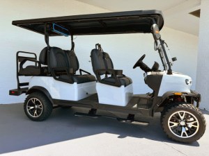 Teko Trophy 4 Plus 2 Limo Golf Cart 02